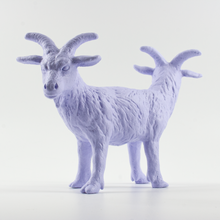 Load image into Gallery viewer, Siam Goats | version 2.0