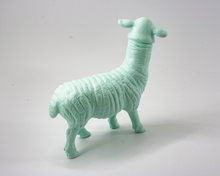 Laden Sie das Bild in den Galerie-Viewer, sheep penis head fauna