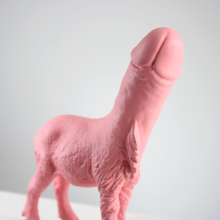 Laden Sie das Bild in den Galerie-Viewer, Pink Barbary Sheep + Penis
