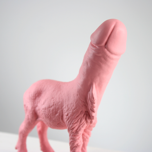 Pink Barbary Sheep + Penis