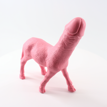Laden Sie das Bild in den Galerie-Viewer, Donkey + Penis