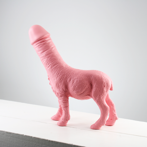 Pink Barbary Sheep + Penis