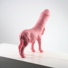 Laden Sie das Bild in den Galerie-Viewer, Pink Barbary Sheep + Penis
