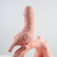 Load image into Gallery viewer, Penis + Bird II