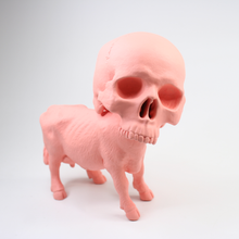 Load image into Gallery viewer, Skull + Cow