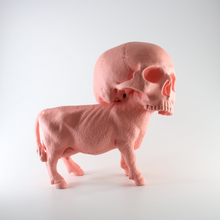 Load image into Gallery viewer, Skull + Cow