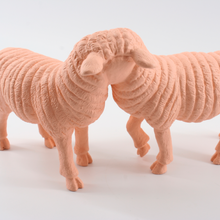 Carregar imagem no visualizador da galeria, Sheep + Sheep