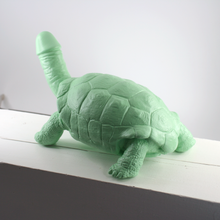 Load image into Gallery viewer, Large Turtle + Penis
