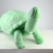 Load image into Gallery viewer, Large Turtle + Penis